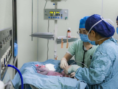 国内首例！心肺联合移植患者诞下健康女婴