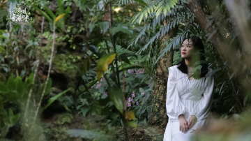 深圳有滋味（双语版）第30期：绿野仙踪，悠然世界