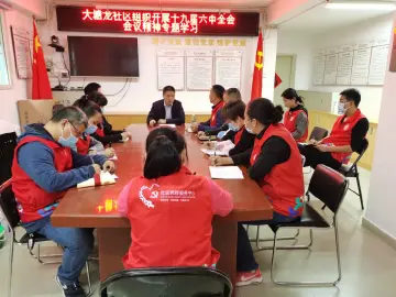桂园街道大塘龙社区组织开展党的十九届六中全会会议精神专题学习  