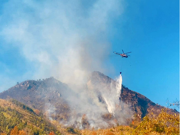 广西梧州森林火灾已扑灭，火灾过火面积和起火原因正在核实中