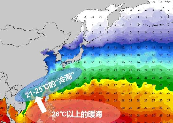 台风白色预警！傍晚起深圳风雨趋紧，这两天记着伞不离手，外套不离身……