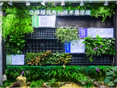 “会呼吸”的绿墙受关注，中节能铁汉携专利技术参加“双碳”论坛