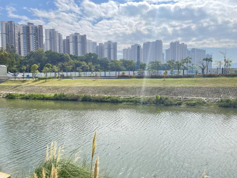 碧岭街道：多措并举守护绿水青山 打造“河长制”建设新高地