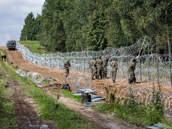 为阻止难民从白俄罗斯入境，波兰政府耗资25亿建边境隔离墙