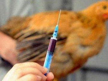 惠州报告1例H5N6病例，深圳疾控提醒：请勿直接与活禽接触！