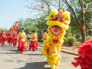 飘色巡游，英歌闹春！海上田园春节带你赏民俗年味