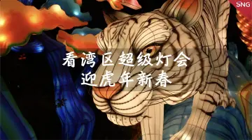 在湾区超级灯会近距离看老虎