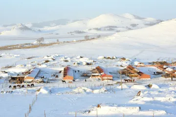 曾兄靓声｜第48期：又是风雪红梅时 ——写在辛丑年大寒