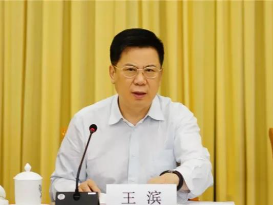 中国人寿保险（集团）公司董事长王滨接受审查调查