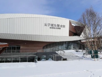多名国际专家认可：冬奥场地人造雪常用、公平、安全