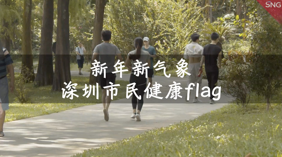 新年健康flag