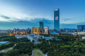 深圳去年新引进人才近23万人！这些青年告诉你选择深圳的N个理由 | 民眼看民生