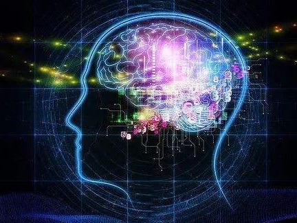 1700毫升！我国发现中更新世脑容量最大古人类 