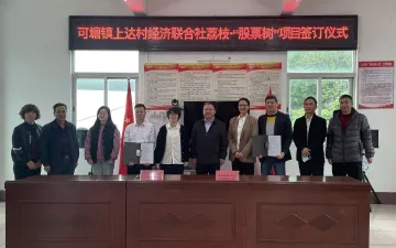 可塘镇上达村推动“以树入股”开启新型产业合作模式