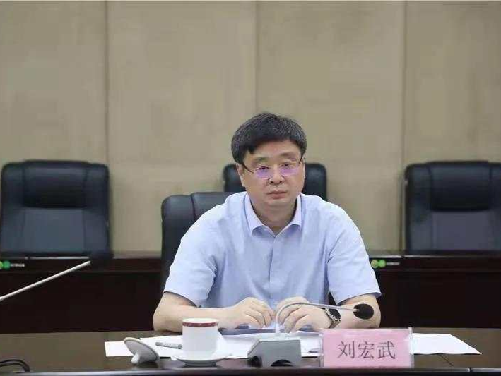 广西自治区政府副主席刘宏武接受审查调查