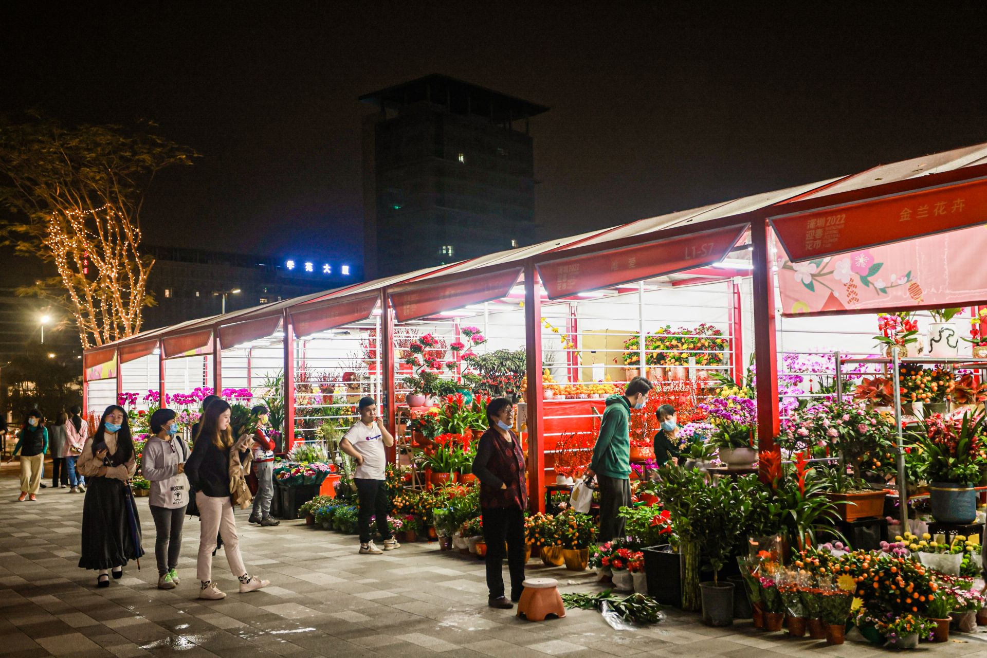 深圳最大花卉市场图片