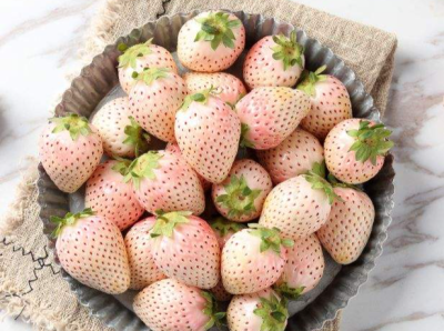 菠萝味草莓一斤150元！草莓你喜欢吃哪个品种？