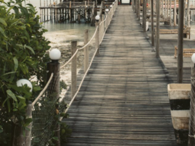 前海 | 野桥