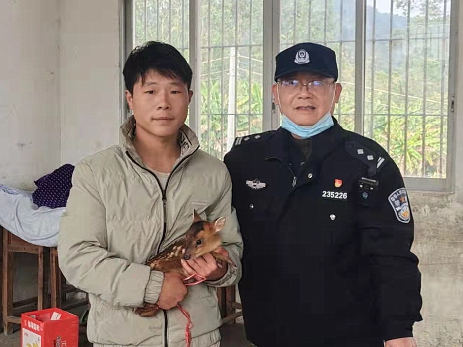 肇庆：怀集警民合力救助国家保护动物野生梅花鹿