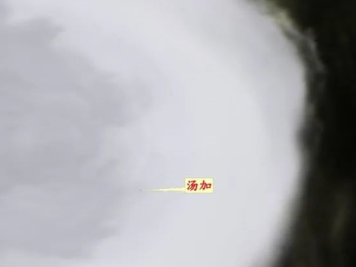 中国海洋卫星获取汤加火山喷发后火山云遥感图像