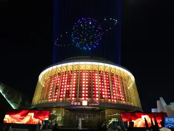 迪拜世博会中国国家馆日灯光秀上演