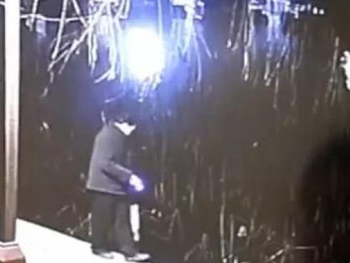 55岁男子夜入大明湖下网捞鱼被抓，鱼已返还景区进行放生