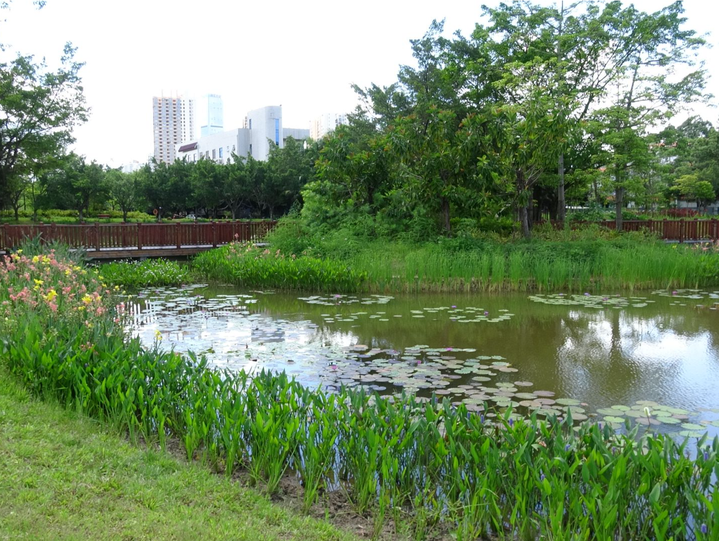 深圳这个城市公园不简单！每年提供生态服务价值1.92亿元