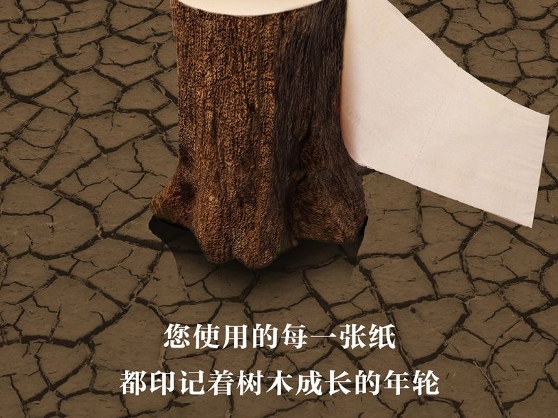 公益广告｜您使用的每一张纸都印着树木的年轮