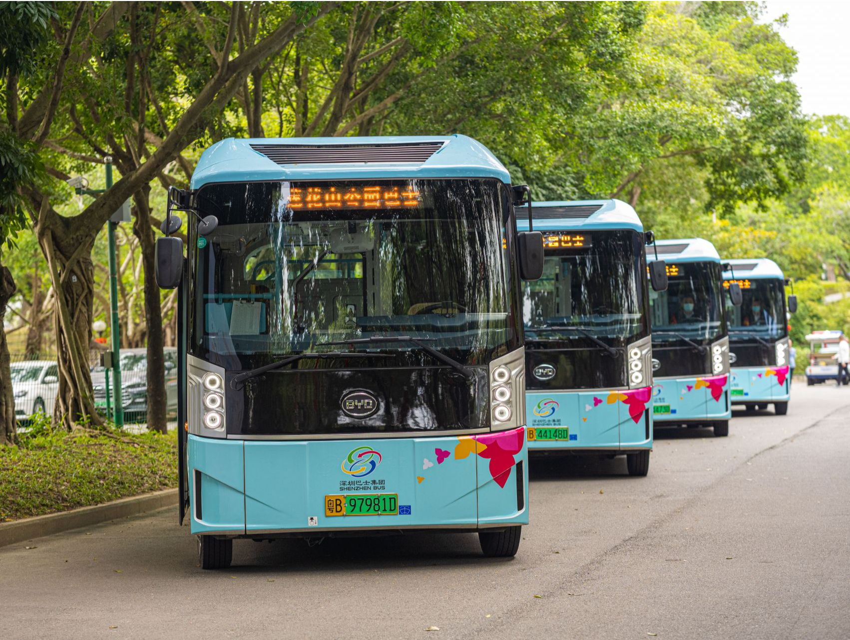 票价仅1元！8条“公园巴士”春节期间开通运营！