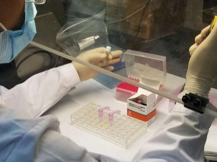武汉新增核酸检测阳性感染者9例，累计报告23例