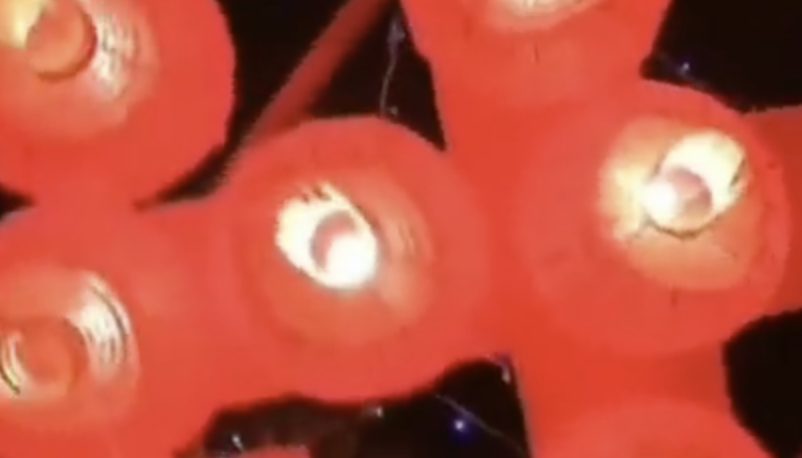 元宵节曾是古代情人节