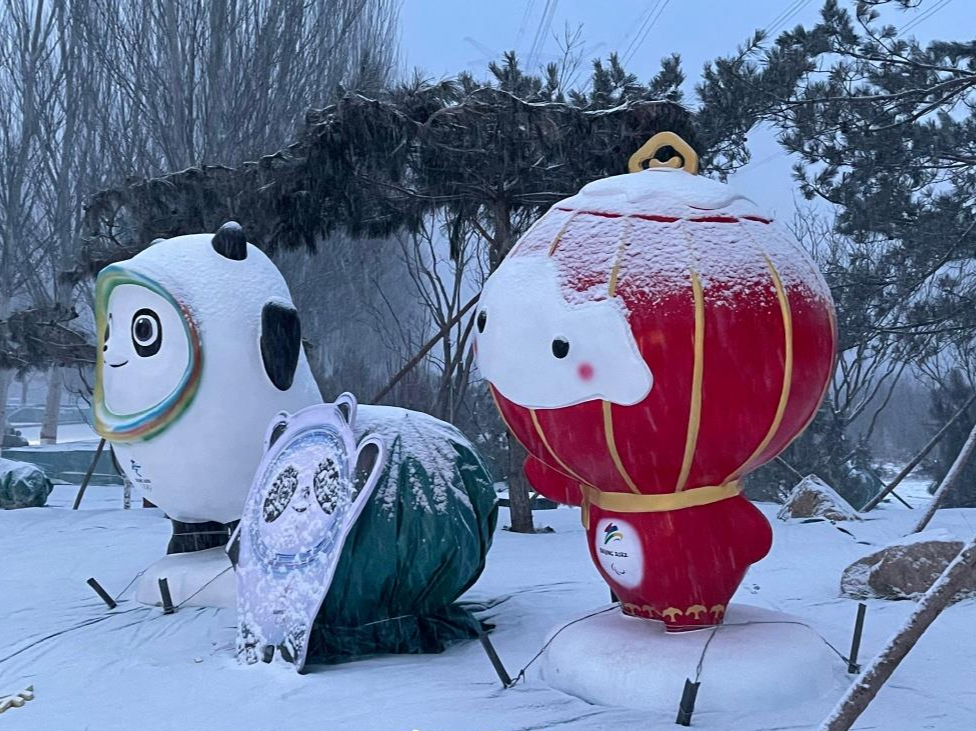 北京迎虎年首场降雪 大地一片银装素裹