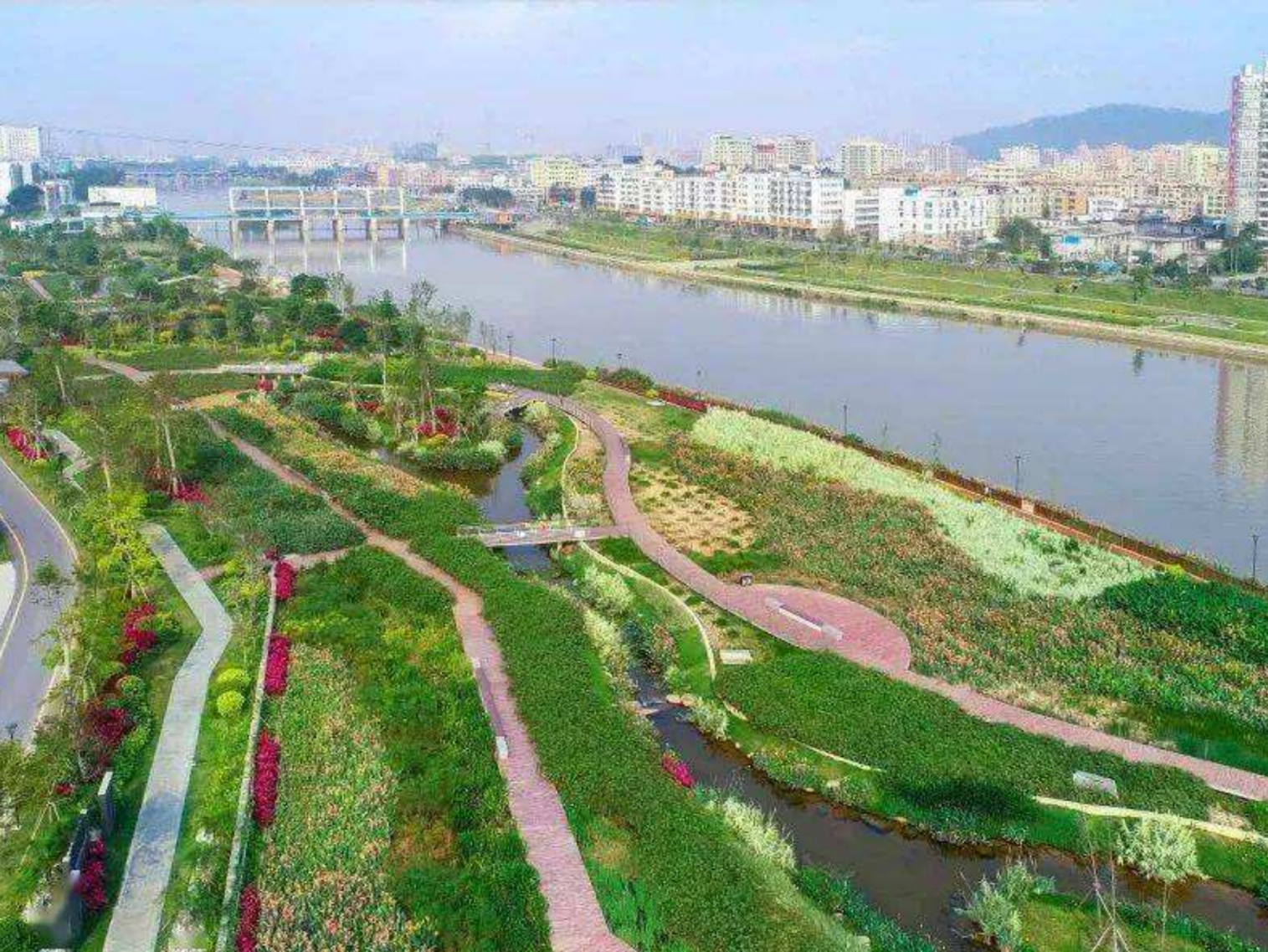深圳湿地美景如画   市民共享生态福祉