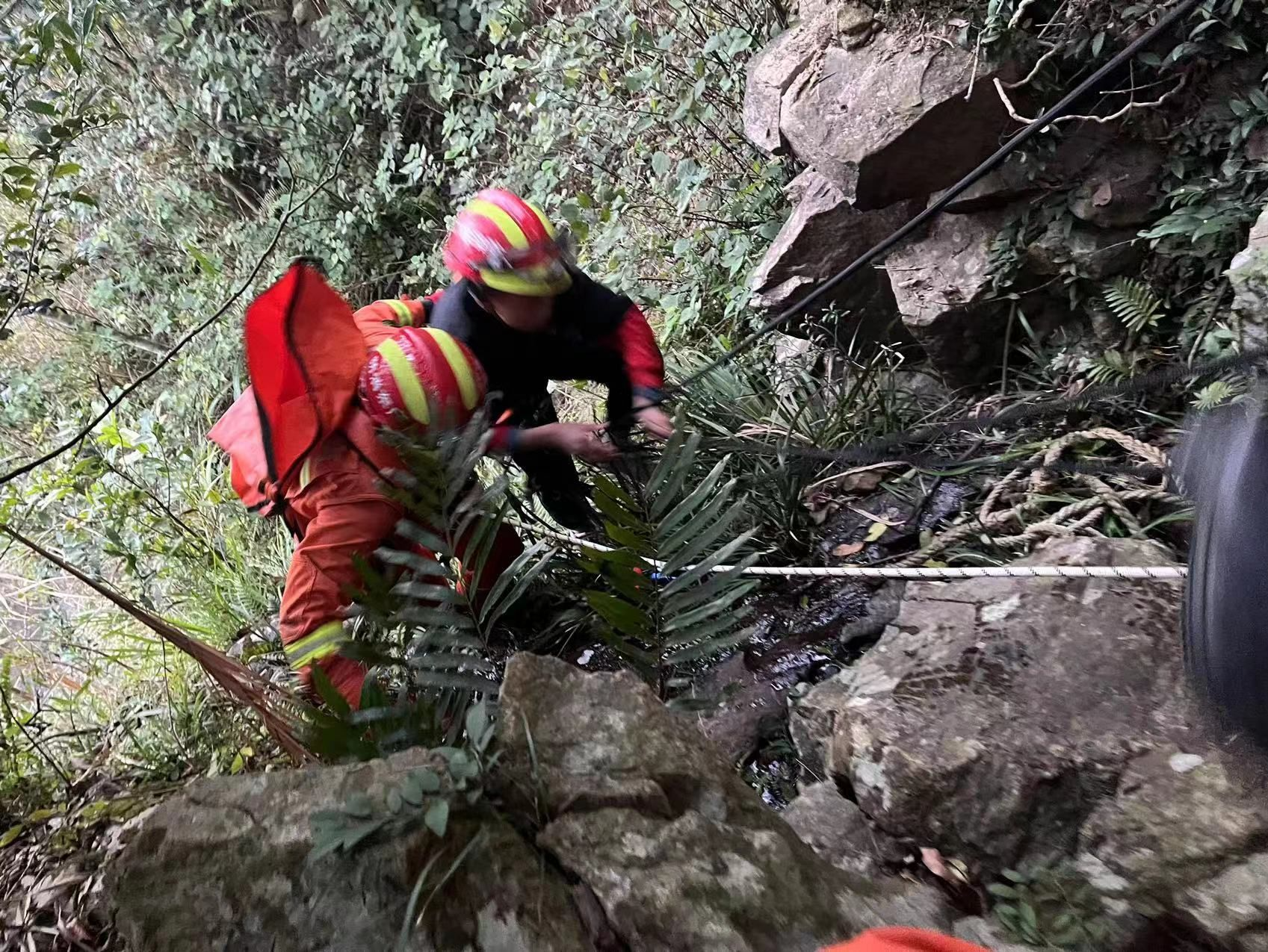 男孩登梧桐山跌落300米深悬崖，深圳消防紧急救援脱险