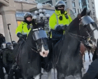 加拿大警察骑马踩踏抗议者，有人抱头倒地 