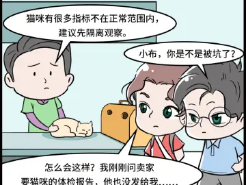 漫法丨网购的萌猫变病猫，治疗费用谁承担？