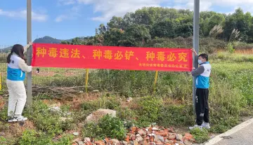 光明街道开展全民禁种铲毒工作力争实现“零种植”“零产量”目标