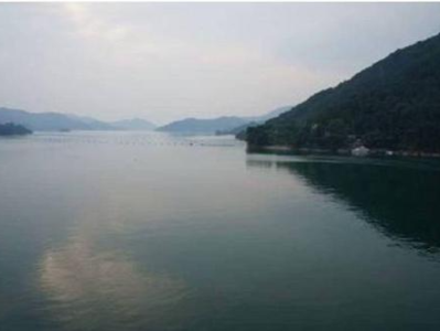 近岸海域水质优良面积创最好水平，广东省生态环境保护工作会议召开