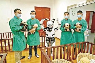 宝企优必选制造的熊猫机器人成为迪拜世博会中国馆官方认证的“和平友好使者”