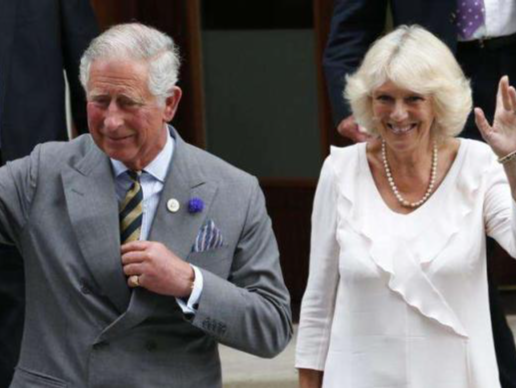 外媒：英国王储查尔斯妻子卡米拉新冠病毒检测阳性