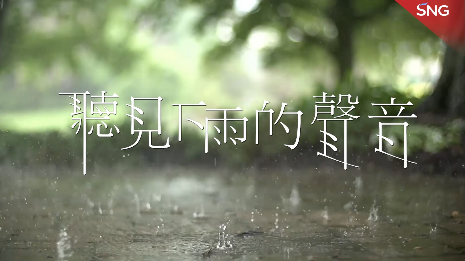 听见下雨的声音