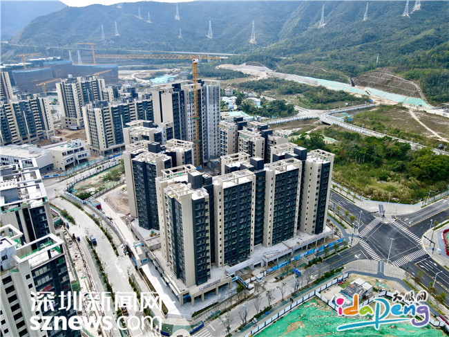 大鹏新区公共住房考核连续三年全市第一，配租率最高达96％