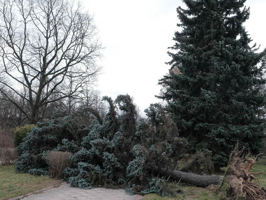 波兰强风天气已致4人死亡 超13万户家庭断电