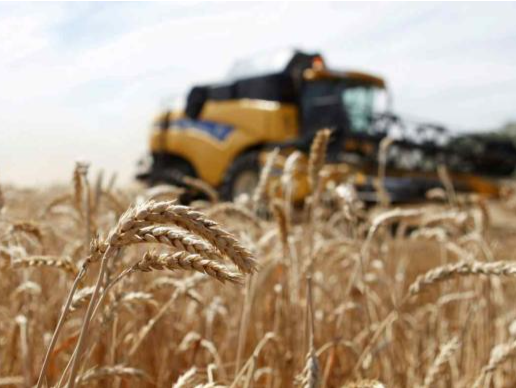 乌克兰局势推动食品价格上涨，全球供应链短缺担忧加剧