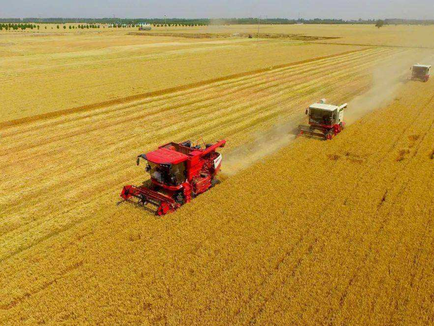 ​总书记牵挂的粮食安全丨“要实打实地调整结构”