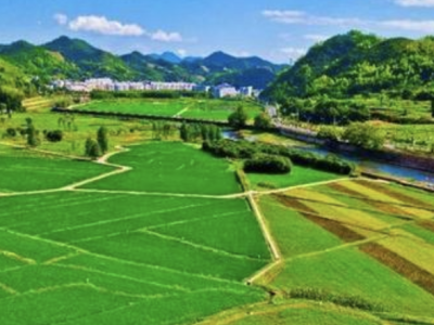 深圳市省级重点农业龙头企业已达89家，位居全省前列
