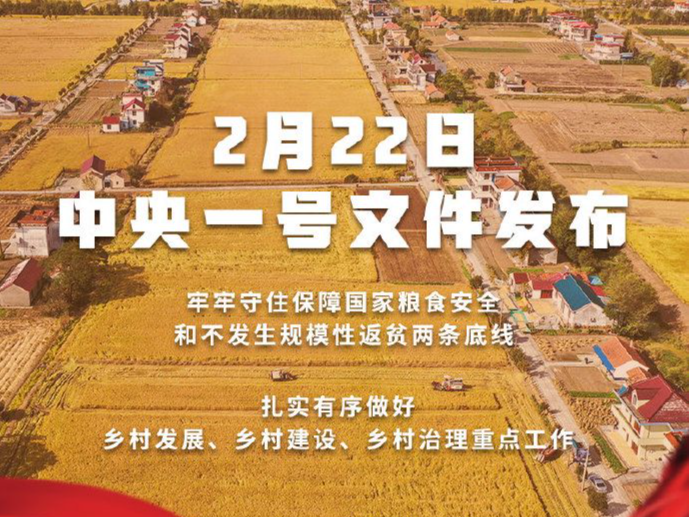 中共中央 国务院关于做好2022年全面推进乡村振兴重点工作的意见