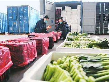 深圳供港民生物资清单发布！日均供港蔬菜2000多吨、活猪约2800头……