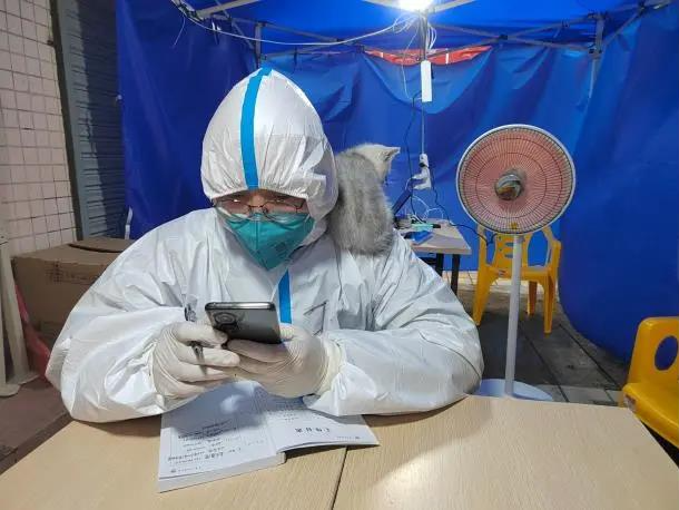 敲门送爱心、喵星人来核酸点位蹭小太阳……这些画面太有爱