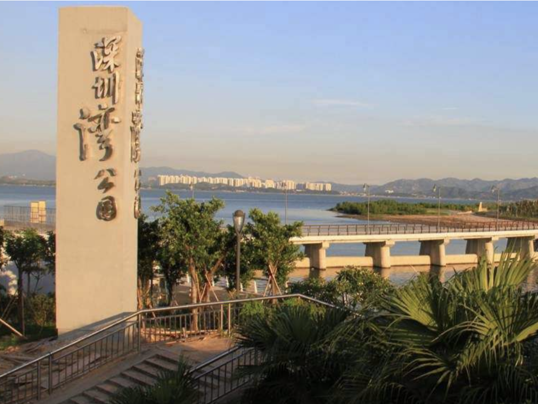 深圳湾公园部分区域暂停开放